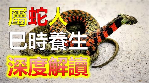 蛇中國象徵|【蛇寓意】揭開蛇的象徵寓意：「靈性、重生與無窮智慧」